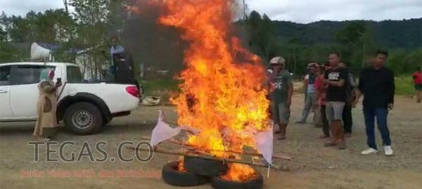 Puluhan Warga Kolaka Timur Demo di DPRD dan Kantor Bupati, Ini Tuntutannya