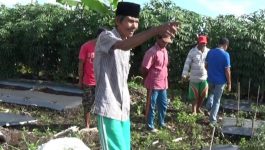 Bupati Kolaka Diduga Kuasai Lahan Milik Warganya