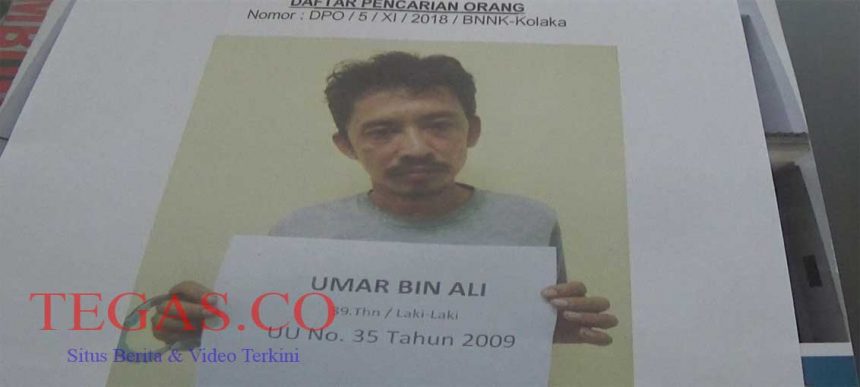 Tangkapan BNNK Kolaka Kabur