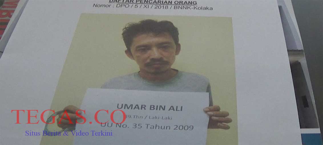 Tangkapan BNNK Kolaka Kabur