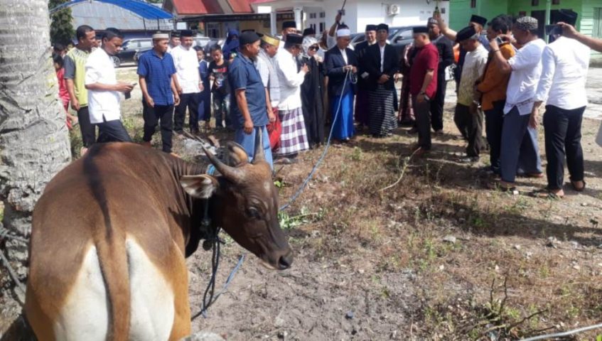Idul Adha 1440 H, Pemda Konsel Serahkan 39 Hewan Kurban
