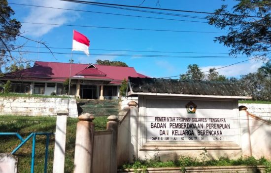 DP3AP2KB Sultra Tingkatkan Kapasitas Sumber Daya Lembaga Penyedia Layanan Perempuan