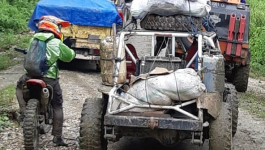 Waspada ! Buaya Di Tengah Banjir﻿