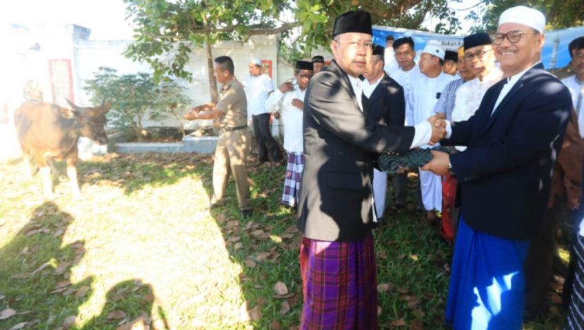 Idul Adha 1440 H, Pemda Konsel Serahkan 39 Hewan Kurban