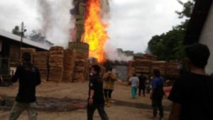 Pengolahan Kayu PT Abyiso Dilalap Sijago Merah