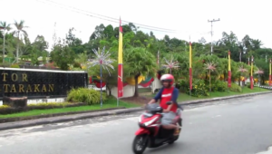 Tampak hiasan bungai sirai depan kantor Walikkota Tarakan FOTO : MA