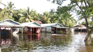Mengecilnya Hutan Singkil Faktor utama penyebab banjir FOTO : MAN
