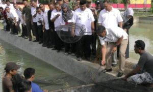 Budidaya Ikan Air Tawar Terus Dikembangkan di Kolaka