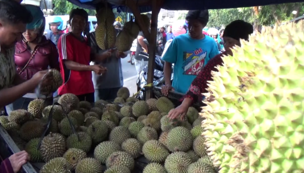 Tegas.co, Berita, video, terkini, kabar, Kendari, Sulawesi 