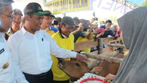 Menteri Pertanian &nbsp;Tetapkan Konsel Wilayah Bibit Sapi