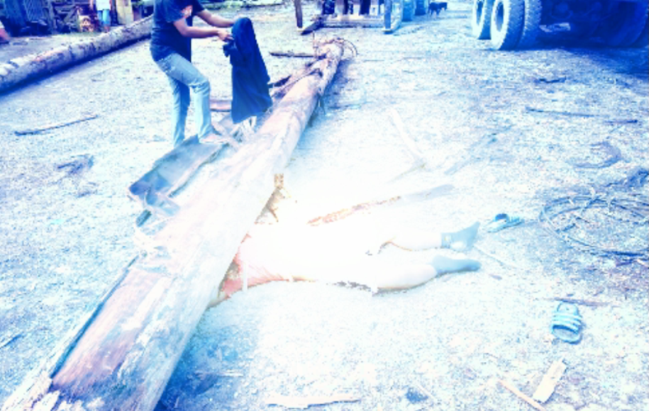 Perbaiki Truk Warga Tarakan Tewas Tertimpa Kayu Log