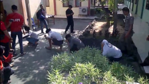 Konsumsi Miras Oplosan, Belasan Remaja Diamankan Satpol PP