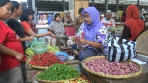 Harga Cabai Melambung