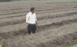 Banjir, Petani Bawang &nbsp;di Brebes Merugi Hingga Puluhan Milyar