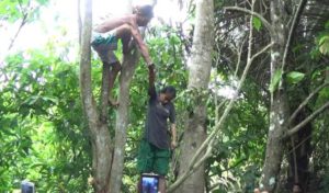 Suami Kawin Lagi, &nbsp;Ibu Rumah Tangga Ini Pilih Akhiri Hidup