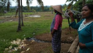 Sejumlah Petani Desa Een Sumala saat menunjukkan sawahnya yang membutuhkan hand traktor