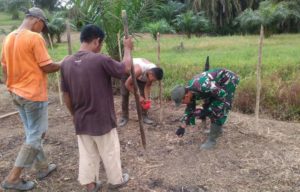 Babinsa Bersama Warga Tanam Jagung