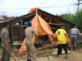 Kios di Bongkar Dengan Alat Berat, Pedagang Pasrah