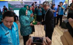 TP PKK Sultra Dapat Bantuan Bibit Cabai Lho!