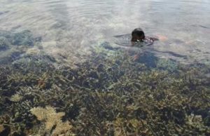 Desa Labulawa Miliki Destinasi Wisata Bawah Laut Terindah