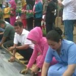 Antisipasi Lonjakan Harga Cabai, Pemprov Sultra Canangkan Gertam Cabai