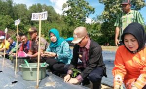 Di Koltim Juga Canangkan Gerakan Tanam Cabai