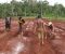 Anak-anak panti ini belajar bercocok tanam di lahan perkebunan milik Panti asuhan. FOTO ; LAN