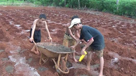 Lahan Mengandung Nikel, Ternyata Subur Untuk Sayur Mayur