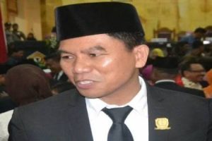 DPRD Konsel Bersama Pemda Bakal Evaluasi Sejumlah Perusahaan Tambang dan Perkebunan