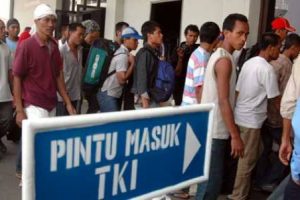 Tekan TKI Ilegal, BNP2TKI Sultra Lakukan Sosialisasi di Buton