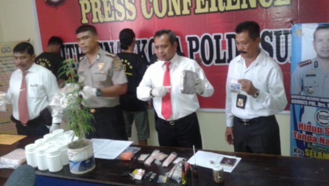 Polisi Tangkap, Pemilik Tanaman Ganja