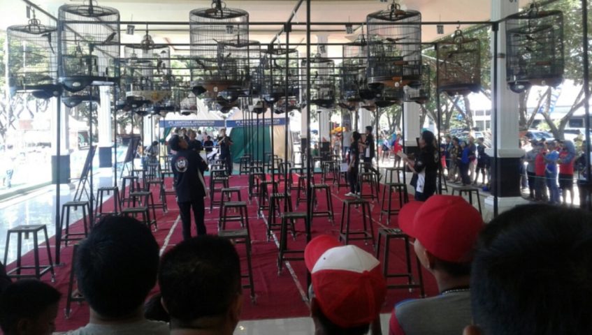 Peserta Asal Kendari Tampil pada Lomba Burung Berkicau