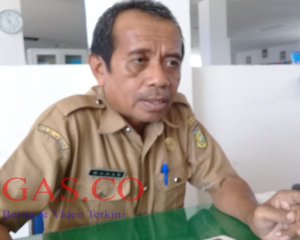 Besok Hasil Verifikasi Manual Berkas CPNS di Buton Diumumkan