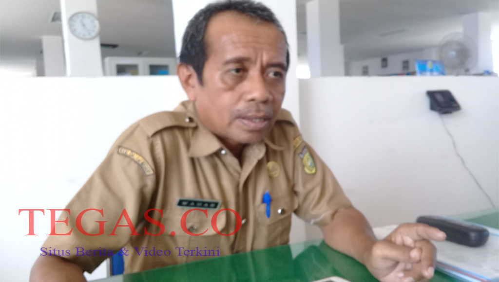 Besok Hasil Verifikasi Manual Berkas CPNS di Buton Diumumkan