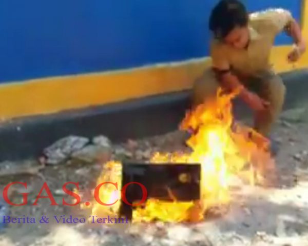 “Viral” Honorer Bakar Ijazah Asli Karena Tak Lulus CPNS