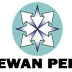 Dewan Pers Rencana Tingkatkan Profesionalisme Wartawan