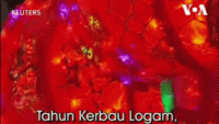 Tahun Kerbau Logam, Tertarik Konsultasi Peruntungan?