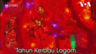 Tahun Kerbau Logam, Tertarik Konsultasi Peruntungan?