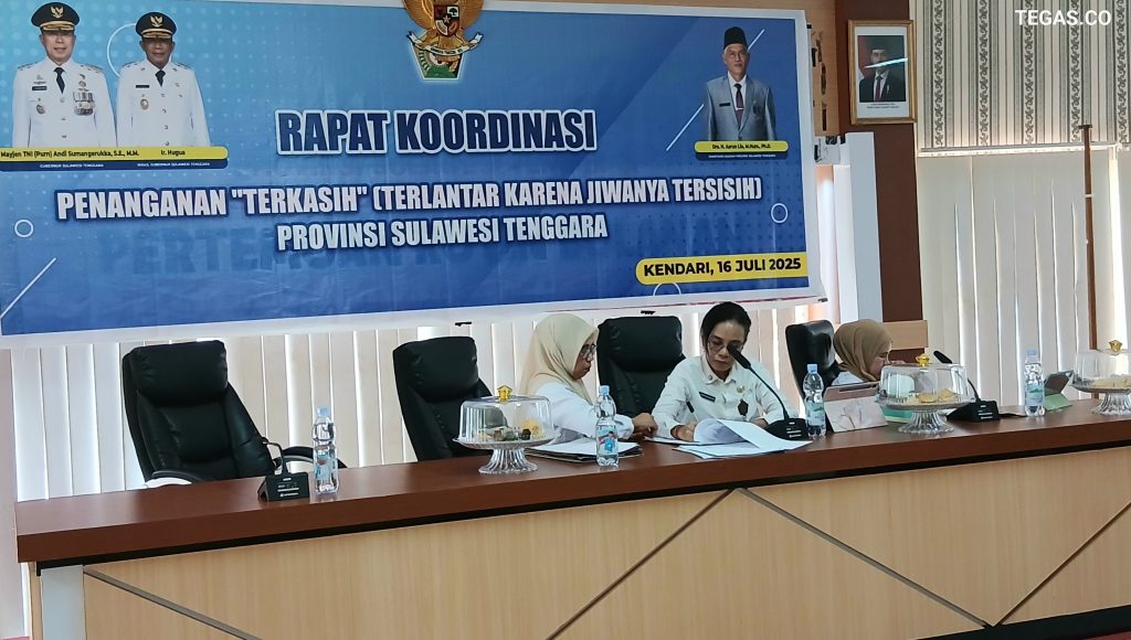 Sekda Sultra Ajak Lintas Sektor Bersatu, Perkuat Penanganan ODGJ Melalui Gerakan "Durawater Care"