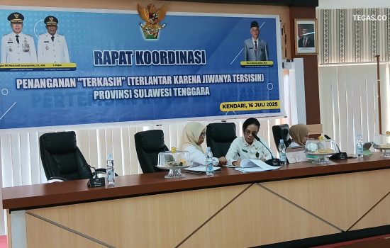 Sekda Sultra Ajak Lintas Sektor Bersatu, Perkuat Penanganan ODGJ Melalui Gerakan “Durawater Care”