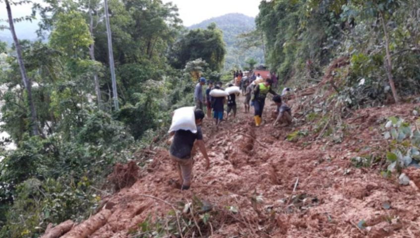 Waspada ! Buaya Di Tengah Banjir﻿