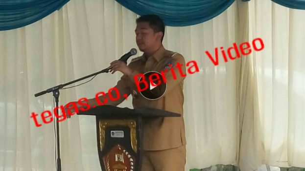 ADP: 99 Persen “Preman” di Kendari Pilih Saya