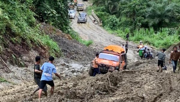 Waspada ! Buaya Di Tengah Banjir﻿
