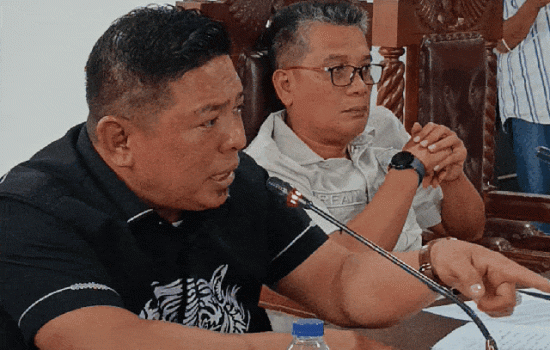 Komisi IV DPRD Sultra Agendakan Investigasi Menyeluruh Dugaan Masalah Tambang PT. VDNI Morosi