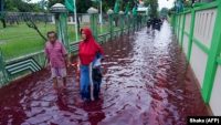 Beberapa warga berjalan melewati jalanan yang digenangi banjir berwarna merah karena bercampur dengan limbah sebuah pabrik batik di Pekalongan, Jawa Tengah, 6 Februari 2021. (Foto: Shaka/AFP)