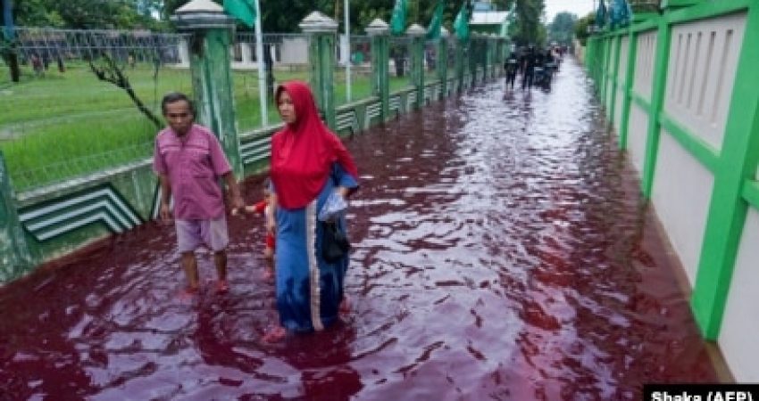 Beberapa warga berjalan melewati jalanan yang digenangi banjir berwarna merah karena bercampur dengan limbah sebuah pabrik batik di Pekalongan, Jawa Tengah, 6 Februari 2021. (Foto: Shaka/AFP)