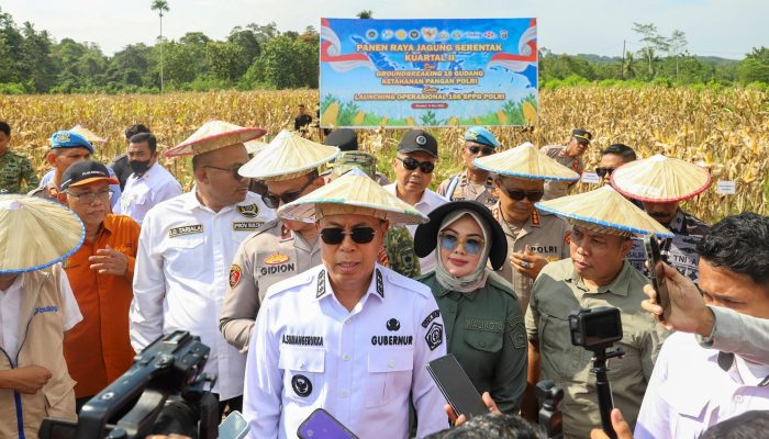 Melalui Panen Raya Jagung, Pemprov Sultra Dorong Ketahanan Pangan Nasional