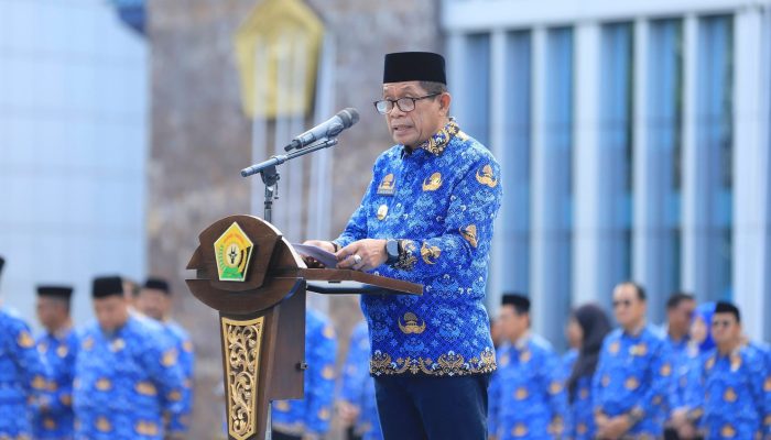 Pemprov Sultra Tegaskan Penguatan Layanan Dasar di Harkitnas ke 118