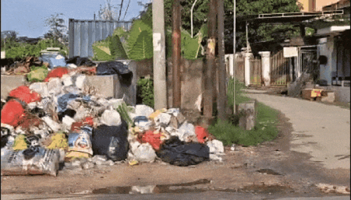 Sampah di Sejumlah TPS Kendari Meluber ke Jalan, Sukanto Toding Soroti Ancaman bagi Adipura