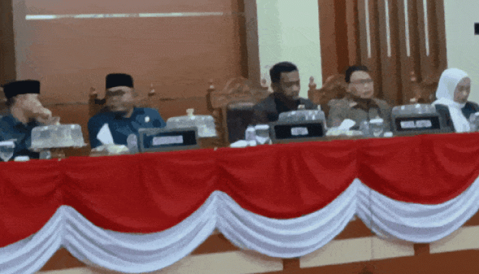 Gubernur Sultra: Tekanan Fiskal Signifikan Akibat Penurunan Drastis Dana Transfer